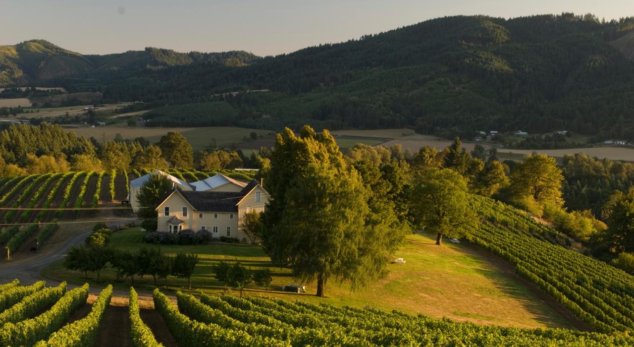 俄勒冈州福里斯特格罗夫镇的戴维山葡萄园和酒庄