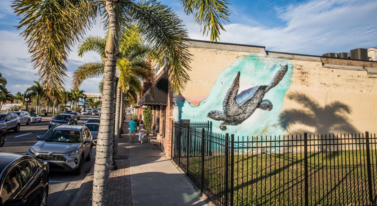 蓬塔戈尔达市中心描绘海龟的壁画