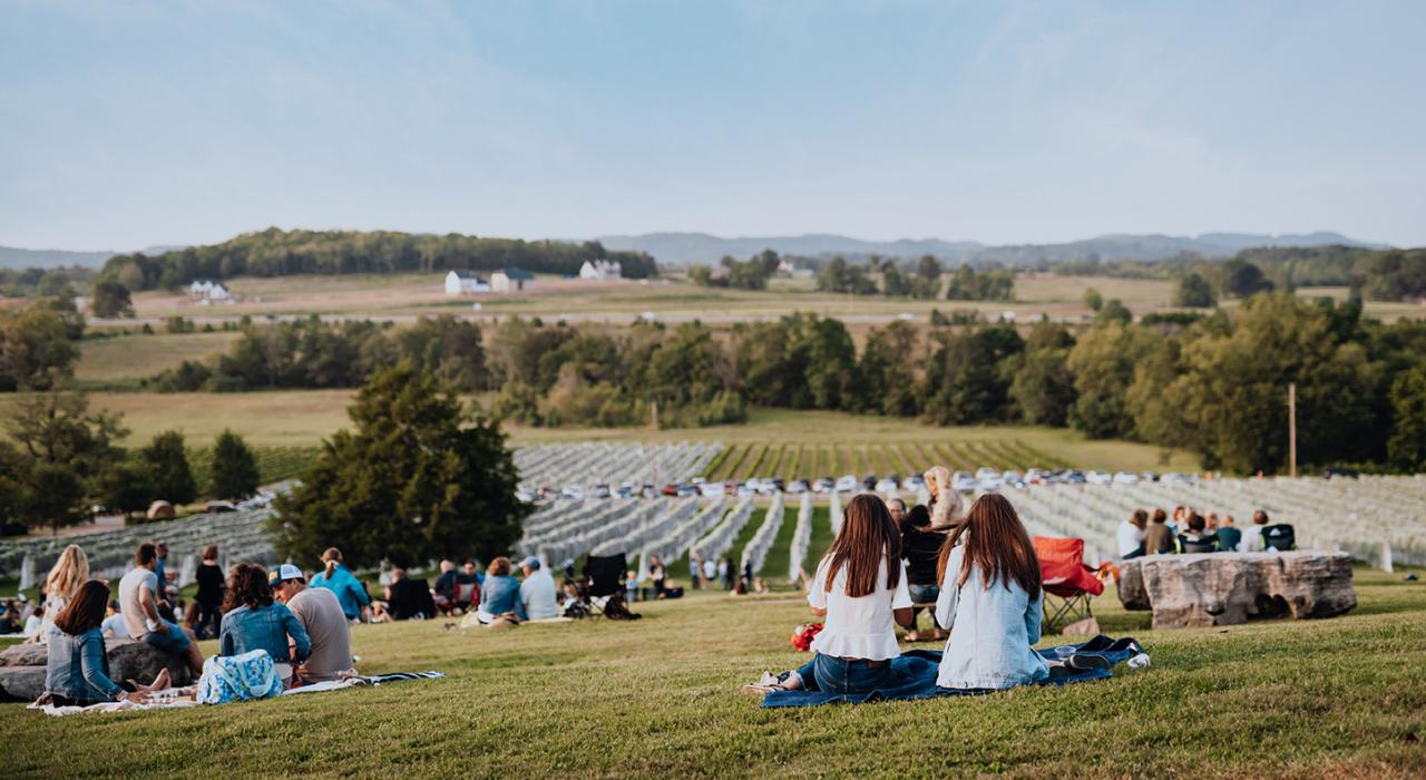 在风景如画的阿灵顿酒庄体验午后之旅
