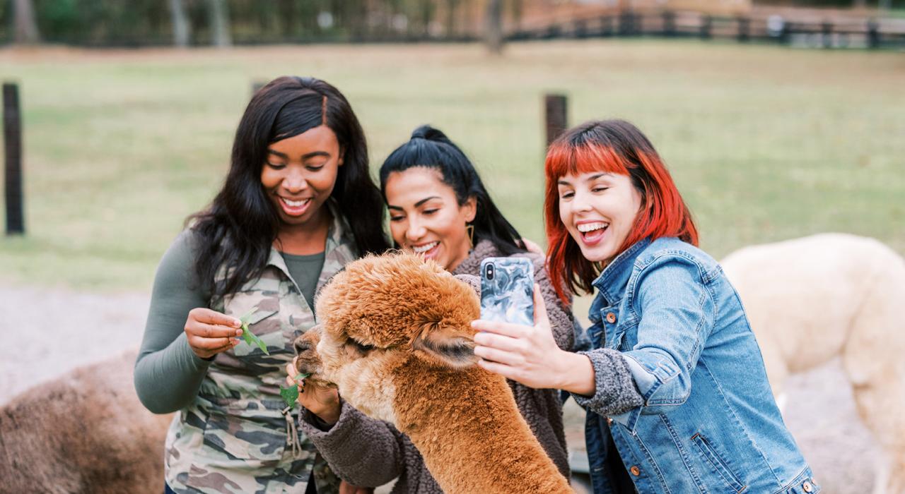 和弥溯农场热情友好的居民开心畅谈