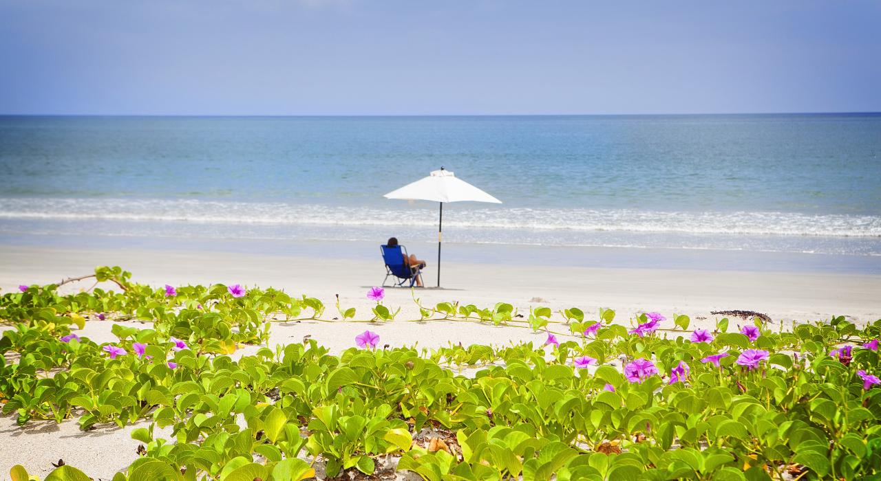 海滩独行客享受着阿瓦隆州立公园的白沙