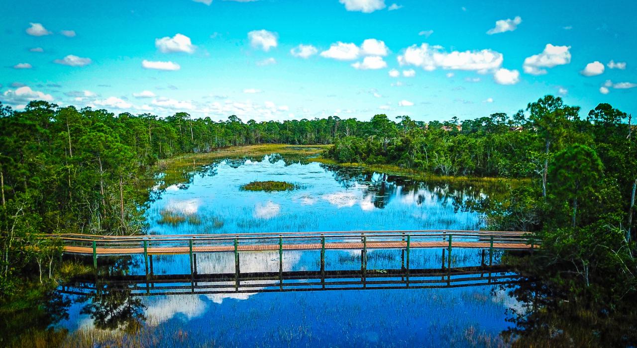 横穿 Spruce Bluff 保护区湿地的木栈道