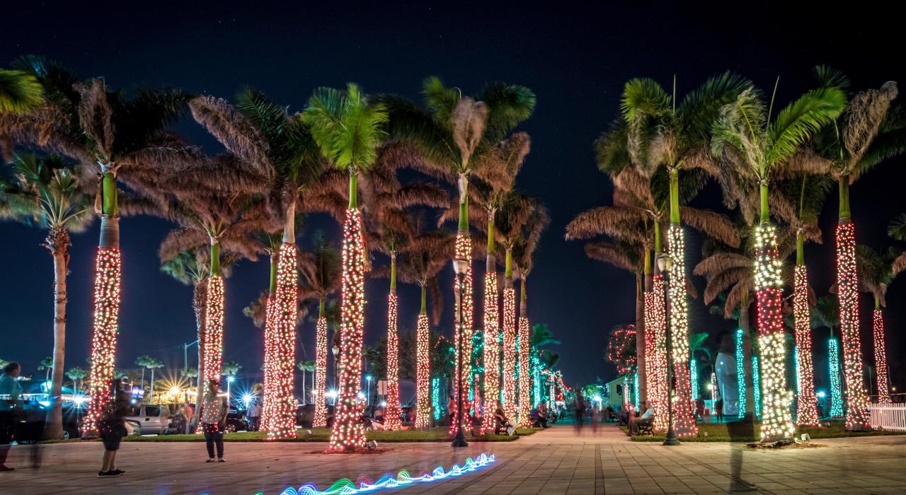 皮尔斯堡码头广场装饰着彩灯的棕榈树