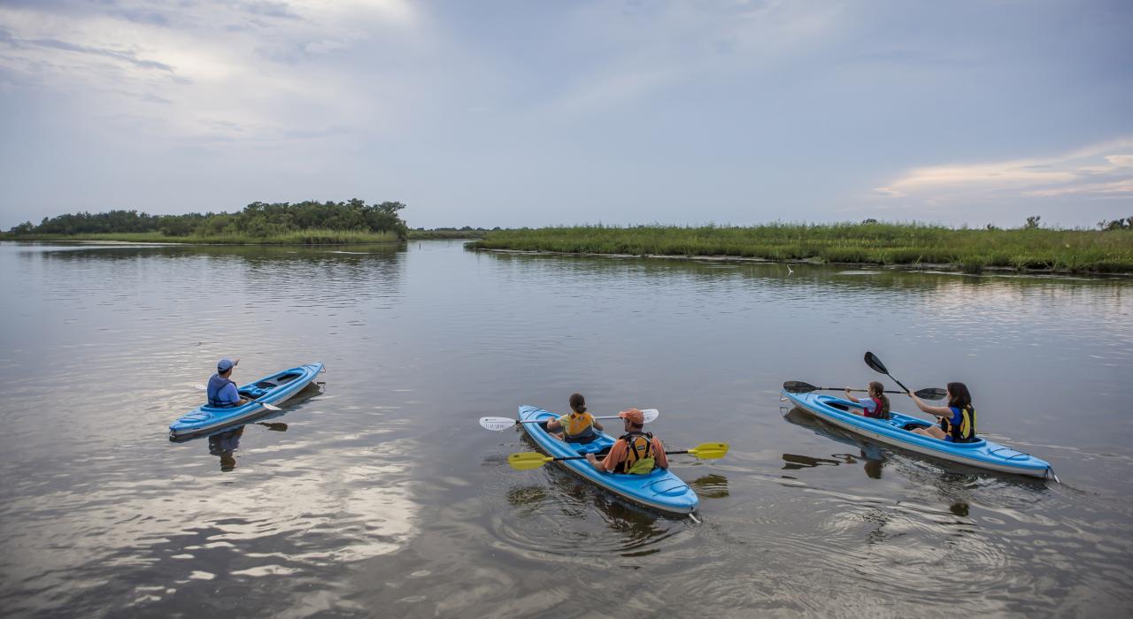 在阿拉巴马州的莫比尔河-滕索河三角洲划皮划艇的游人