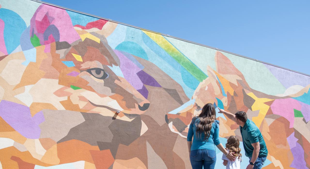 欣赏城市中充满活力的壁画