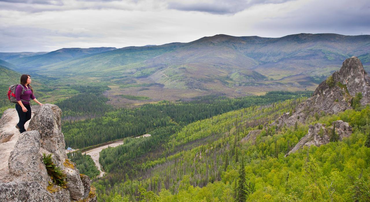 阿拉斯加州费尔班克斯切纳河州立休闲区