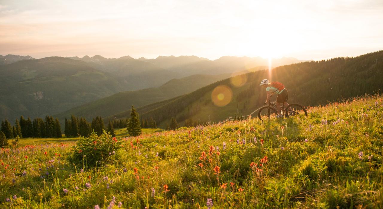 在野花烂漫的山间小径骑行