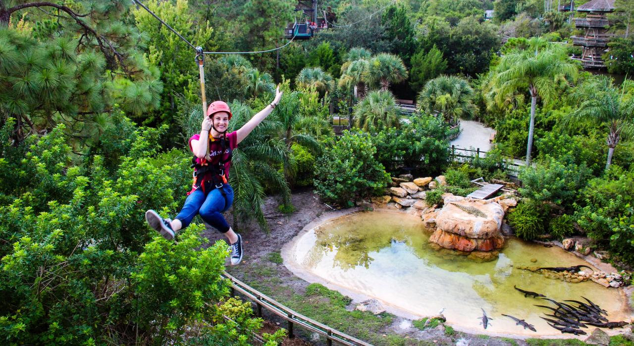 佛罗里达州奥兰多鳄鱼乐园野生动物展示区上空的高空飞索