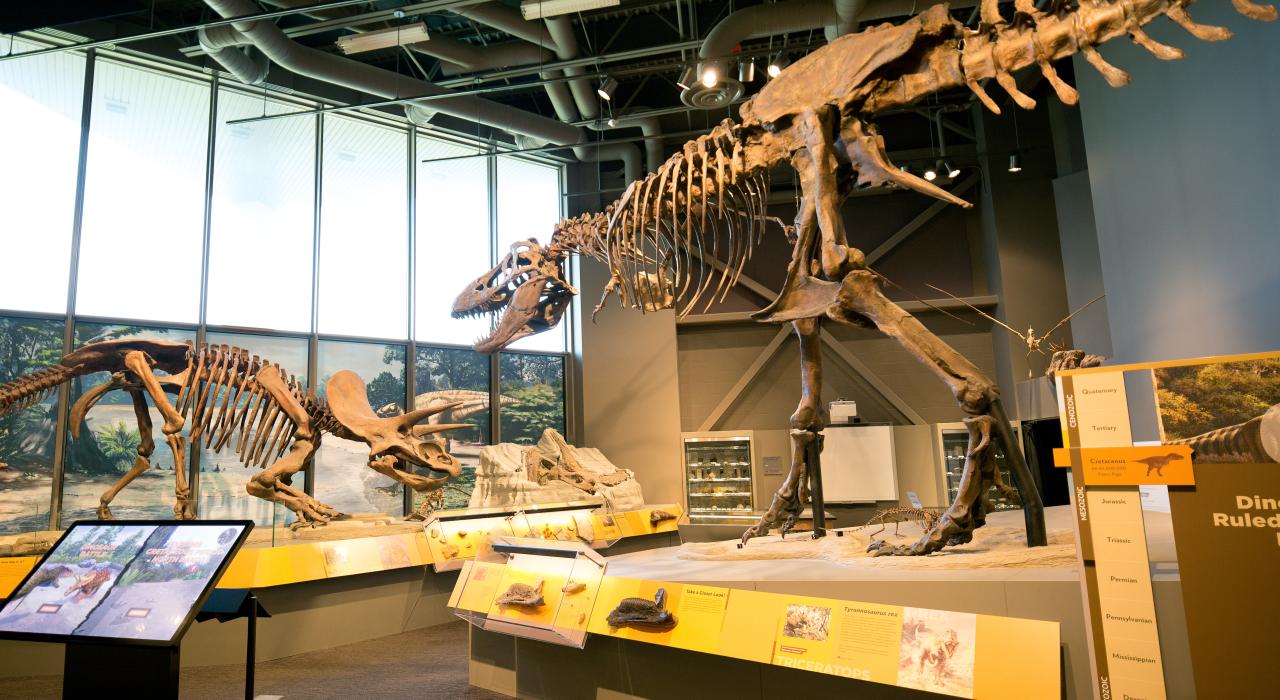 北达科他州遗产中心和州立博物馆的自然历史展览生动地展现史前历史