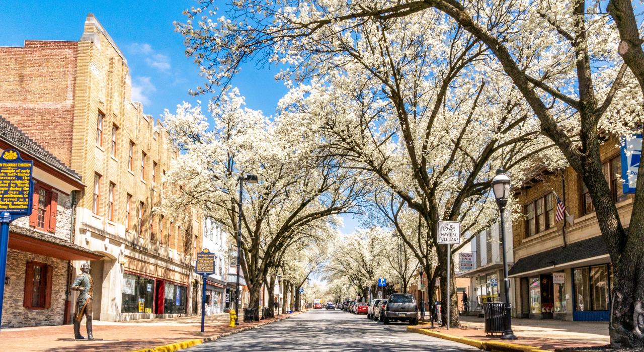El centro de York brilla con hermosas flores