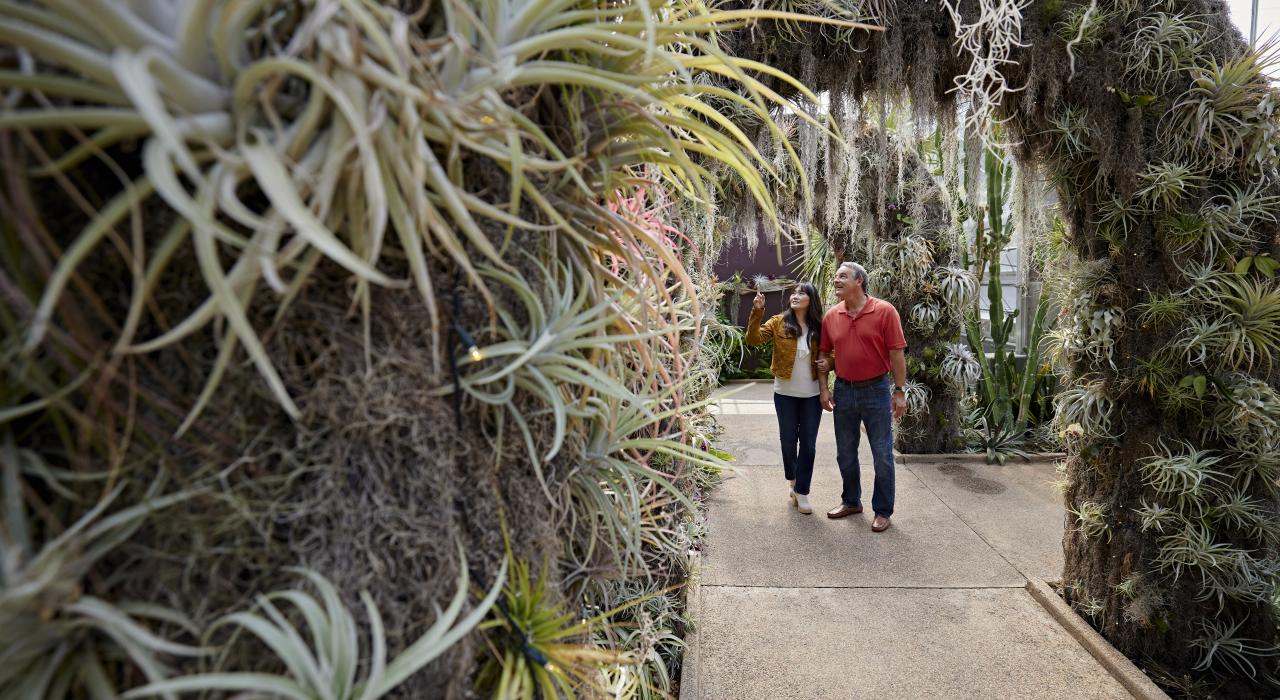 丹尼尔·斯托植物园 Orchid Observatory 沉浸式温室