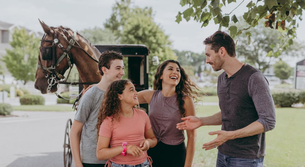 乘上马车，欣赏秀丽的乡间美景