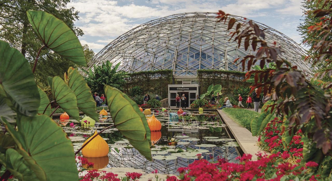 在密苏里州植物园 (Missouri Botanical Garden)，缤纷枝叶与 Climatron 温室相映成趣