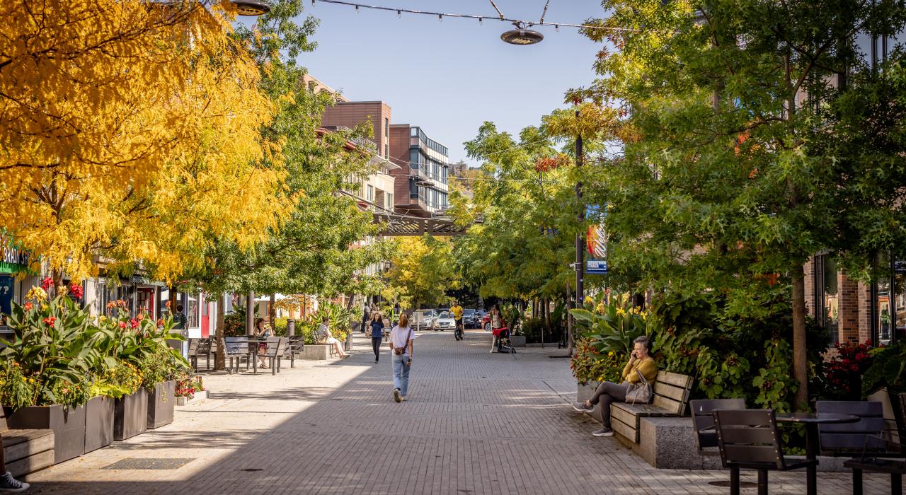 伊萨卡市中心 Commons 商城阳光明媚的一天