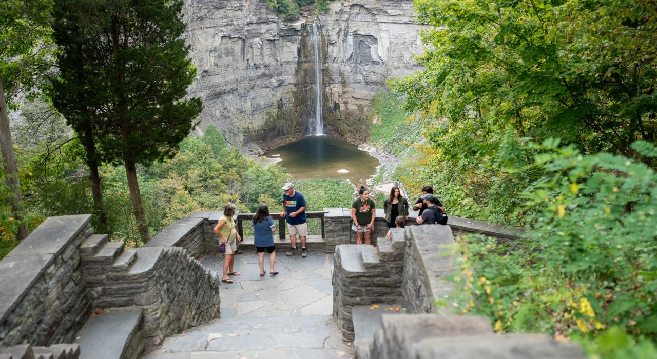 在托格汉诺克瀑布州立公园欣赏瀑布景观和郁郁葱葱的绿色植物