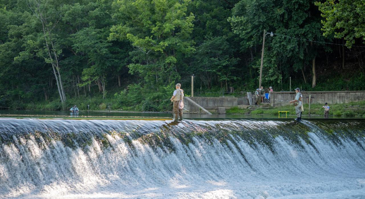 在贝内特泉州立公园垂钓鳟鱼