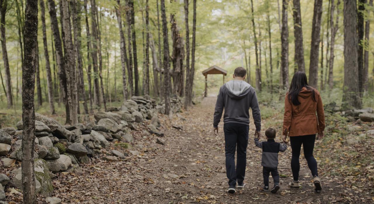 在韦斯特切斯特县最大的公园沃德庞德里奇保护区徒步旅行
