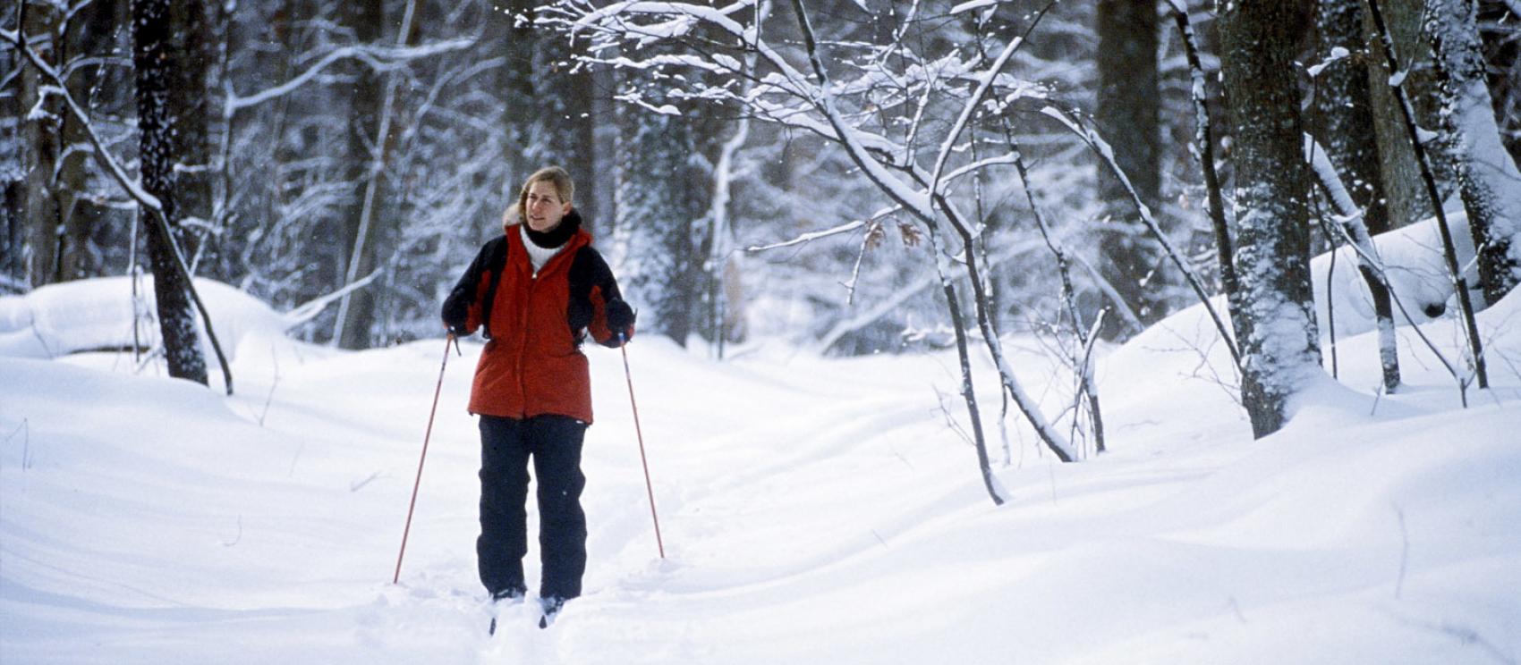 在奥克兰的哈林顿庄园州立公园体验越野滑雪
