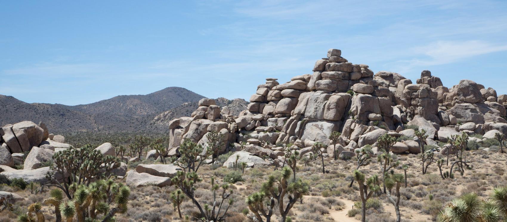 约书亚树国家公园的堆积岩石非常适合攀爬