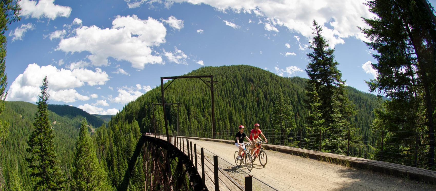 在海亚瓦沙自行车道上骑行穿过与天齐平的栈桥