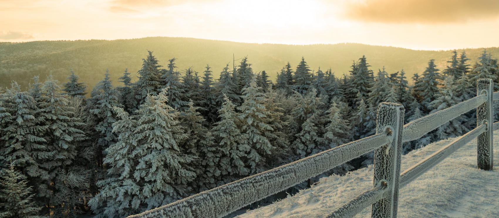 在斯诺肖雪山度假村尽享静谧的冬日清晨时光