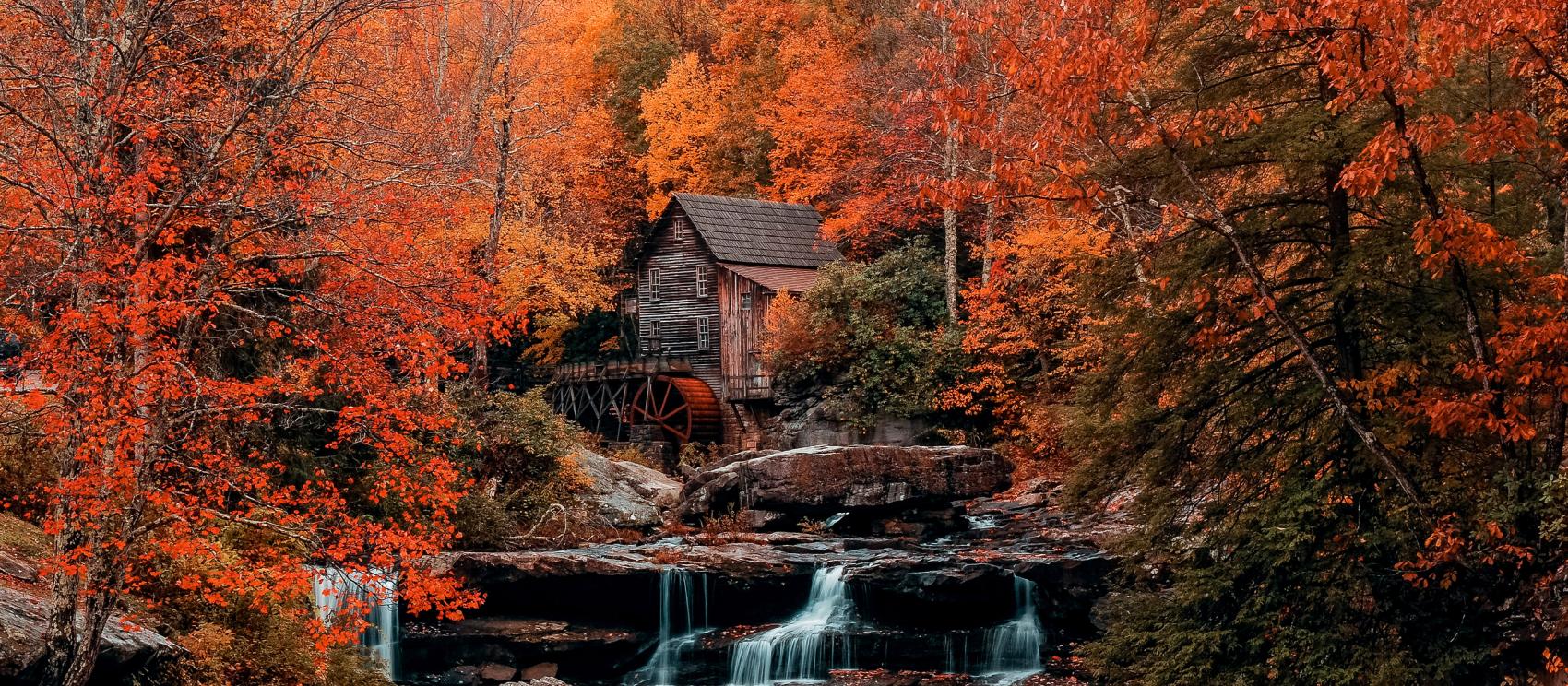 巴布科克州立公园格莱德溪谷磨坊外的绚烂秋色