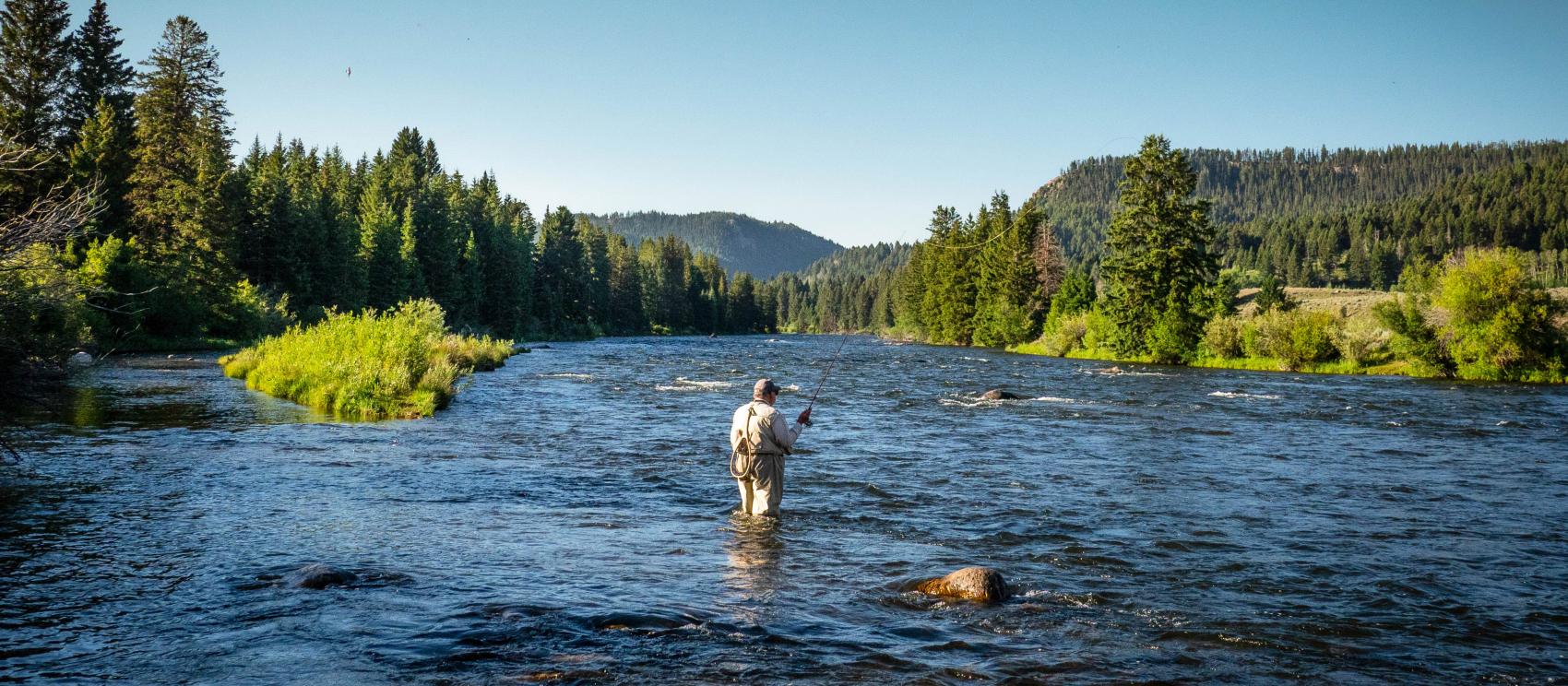 在黑脚河 (Blackfoot River) 上体验飞蝇钓鱼之旅